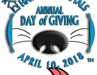 1st Annual Haven Day of Giving