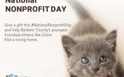 National Nonprofit Day