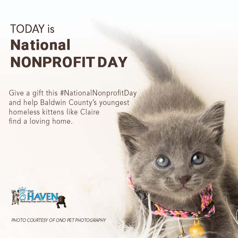 National Nonprofit Day - The Haven No-Kill Animal Shelter