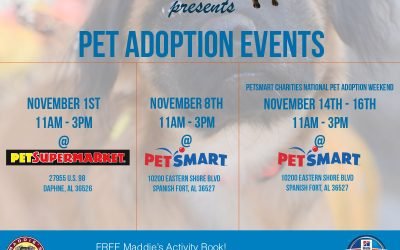 The Haven to bring their “Shelter on Wheels” to three Adoption Events in November