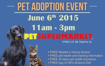 Second Chances for Haven Animals in June