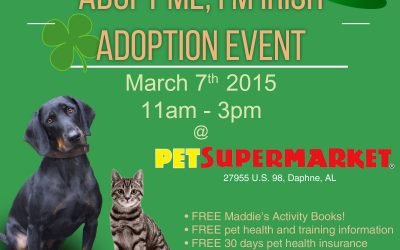 “Adopt Me, I’m Irish” Pet Adoptions in March