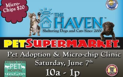 Microchip Clinic and Pet Adoption June 7th