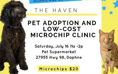 The Haven Low-Cost Microchip Clinic, Pet Adoption at Daphne Pet Supermarket July 16