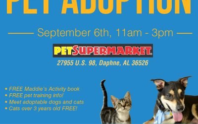 The Haven holds Adoption at Pet Supermarket