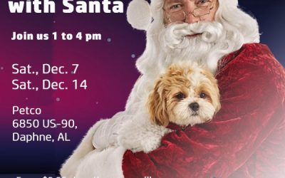 Santa Photos with your Furry Best Friend