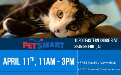 April Haven Adoptions at Pet Supermarket and Petsmart