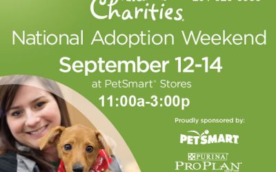 The Haven at Petsmart Charities’ National Adoption Week-end