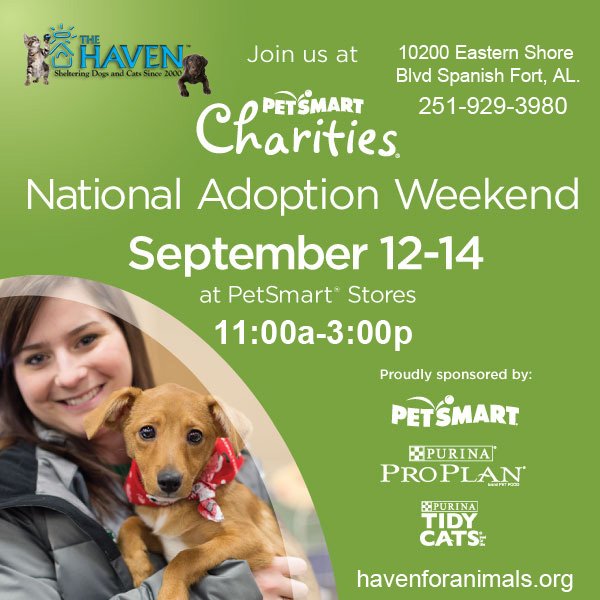 PetSmart hosts adoption event for animals from local pet rescues