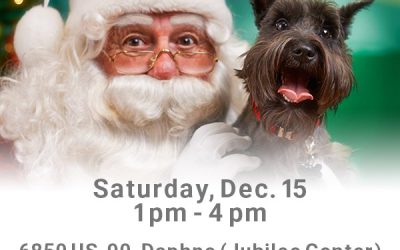 Pet Portraits with Santa Claus this Saturday