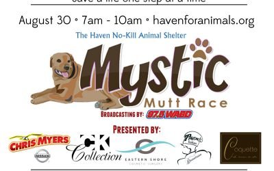 1st Annual Mystic Mutts 5K Race and Mutt Walk to Benefit The Haven