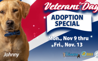 Veteran’s Day Adoption Promotion