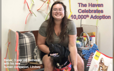 Haven Celebrates 10,000th Pet Adoption