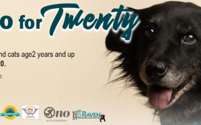 Two for Twenty Adoption Promotion