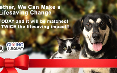 DOUBLE your Lifesaving Impact TODAY on #GivingTuesday