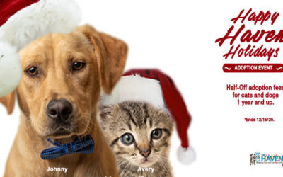 Happy Haven Holidays Adoption Event