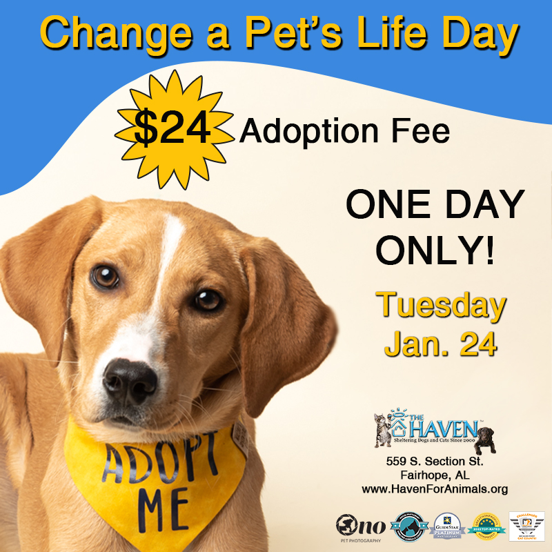 Change a Pet's Life Day The Haven NoKill Animal Shelter