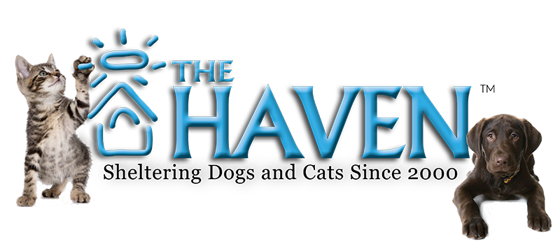 The Haven