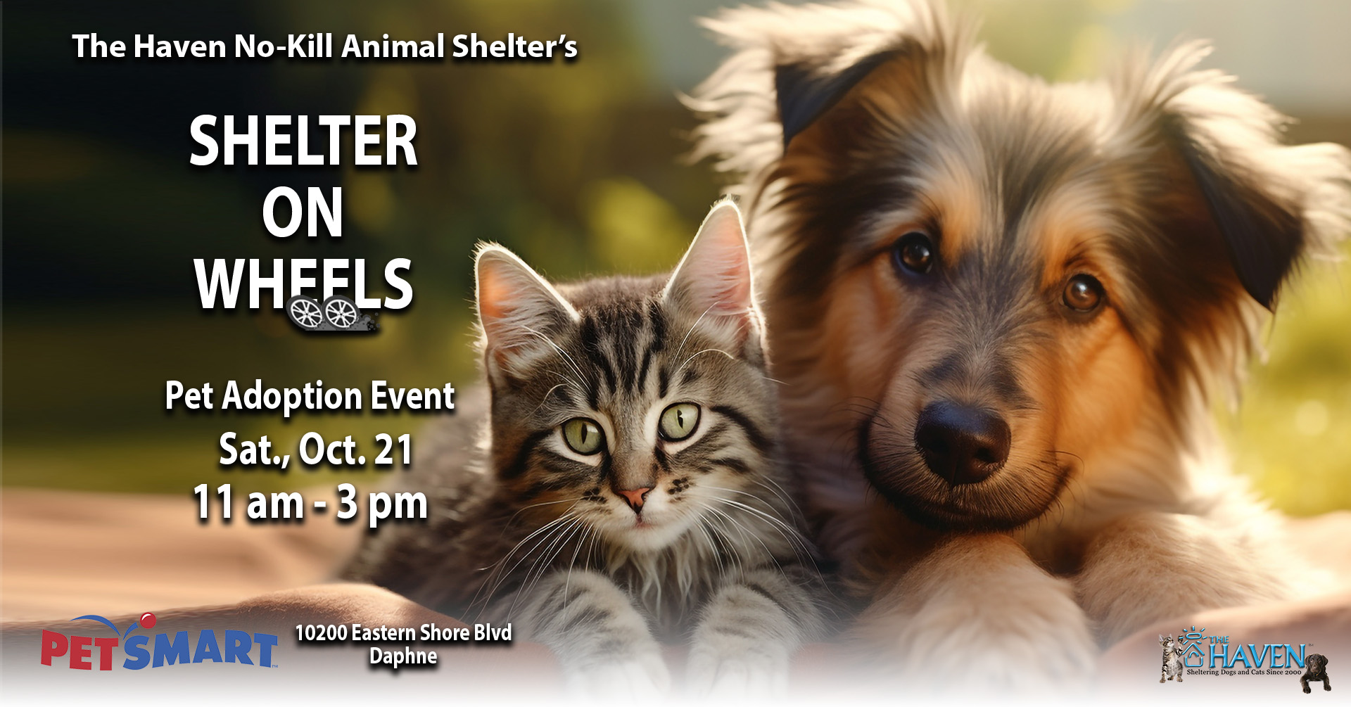 OUR WEEKLY FOSTER ADOPTION EVENTS HAVE MOVED TO PETSMART! - Animal Friends  of the Valleys