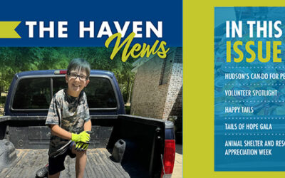 The Haven’s Fall Winter Newsletter 2024