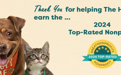 The Haven Earns 2024 Top-Rated Nonprofit Award from GreatNonprofits