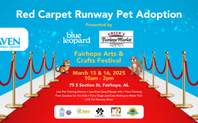 Red Carpet Runway Pet Adoption