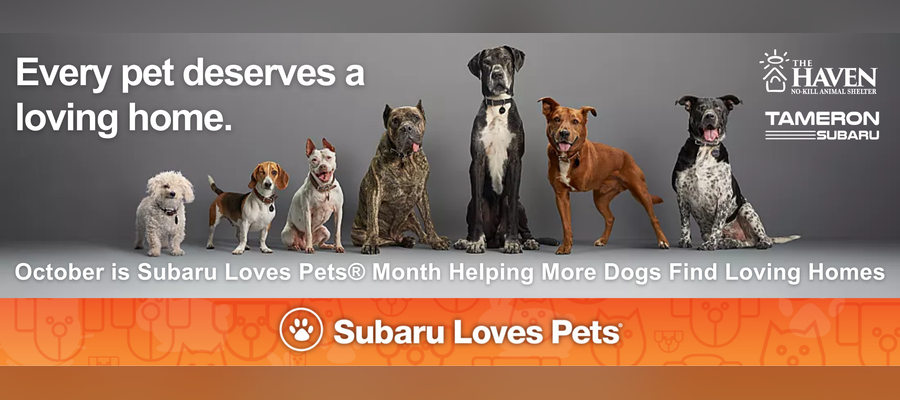 Every pet deserves a loving home. Subaru Loves Pets with Tameron Subaru and The Haven No-Kill Animal Shelter